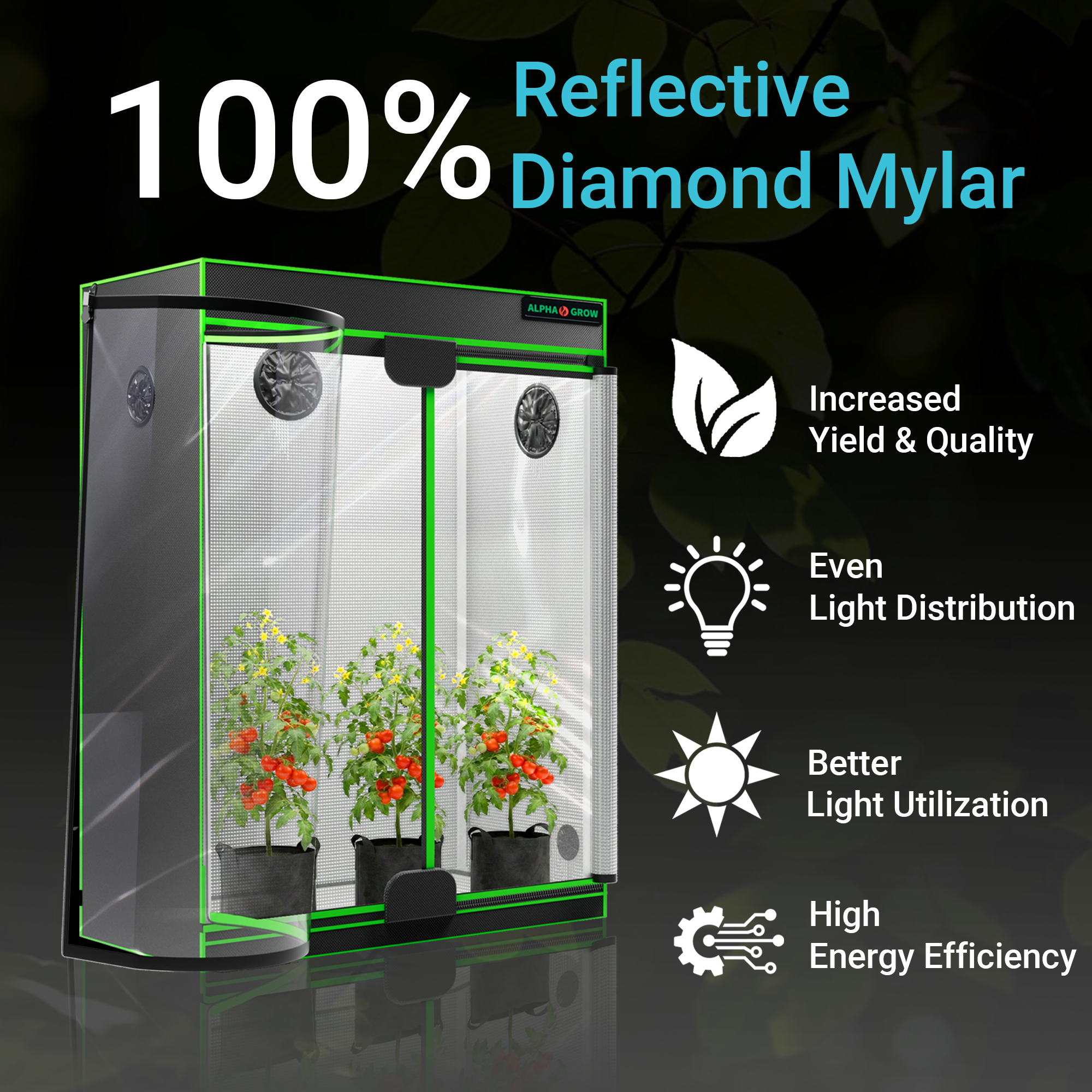 1680D 4x2 Grow Tent Complete K - Carbon Filter Inline recensione e prezzo