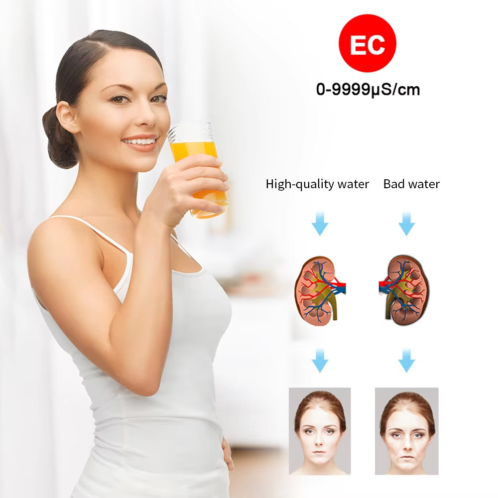 Water Quality Tester Pen-Type  - Ec Meter Digital recensione e prezzo