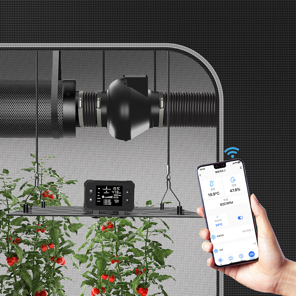Applicable to BAVA 4 Inch Envi - Carbon Filter Inline recensione e prezzo