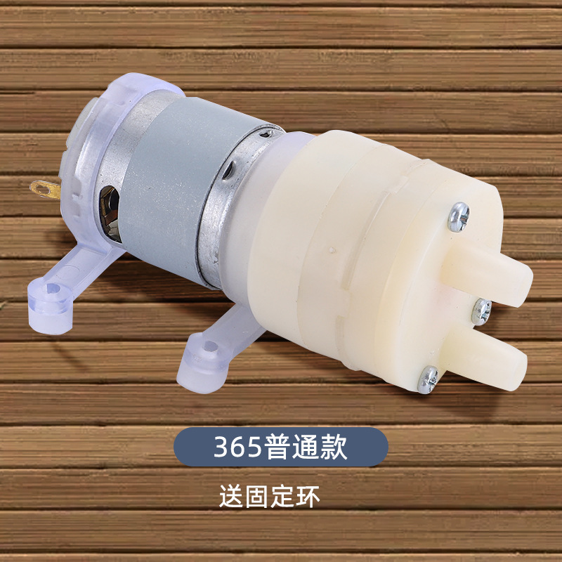 R365 Diaphragm Water Pump DC 1 - Water Pump Submersible Mini recensione e prezzo